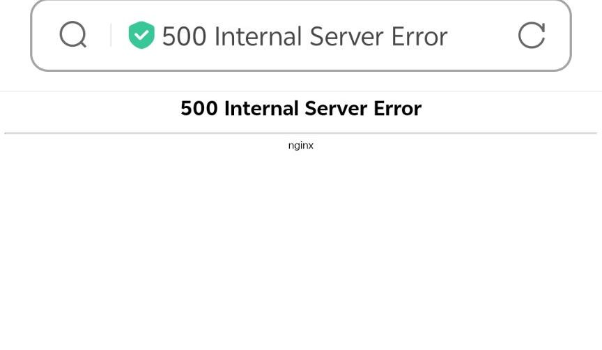 已搭建好的网站，突然出现500 Internal Server Error怎么回事？|宝塔面板社区|第三方产品板块|小兔社区